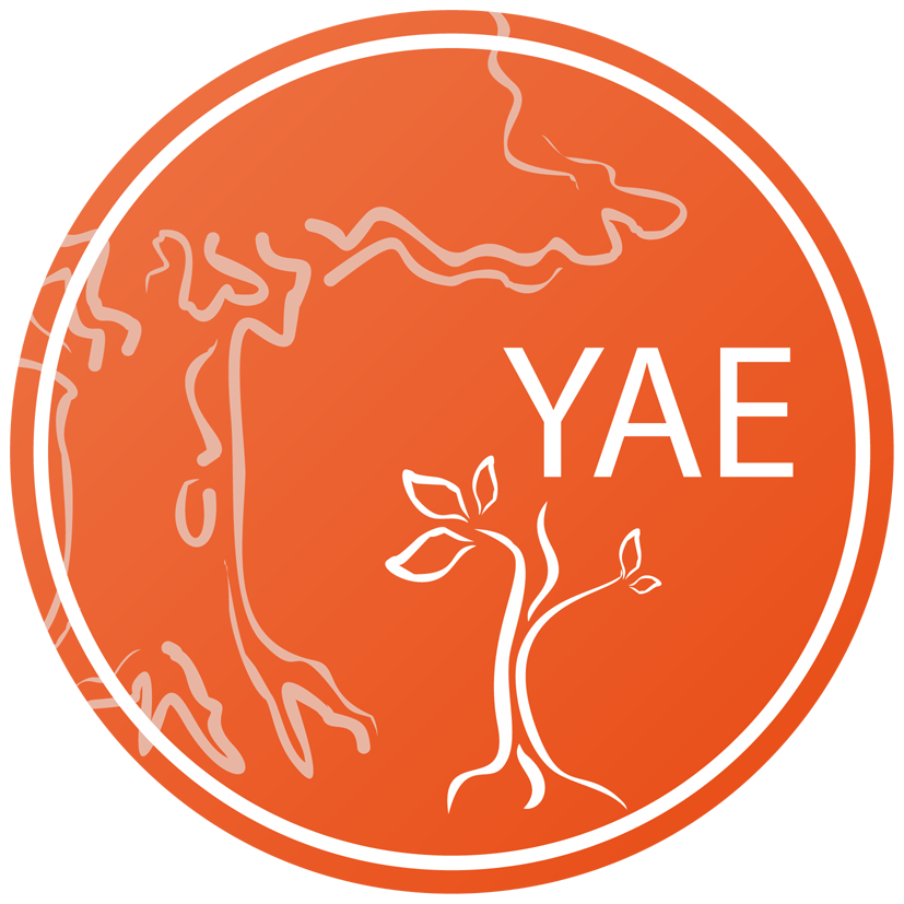 Young Academy of Europe logo